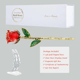 Red - Gold Dipped Real Rose with Stand