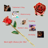 Red - Gold Dipped Real Rose with Stand