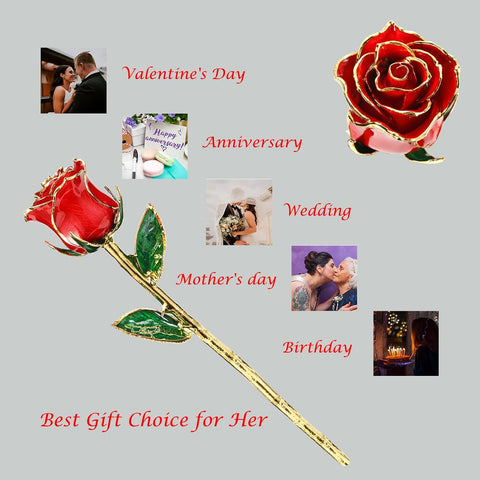 Red - Gold Dipped Real Rose with Stand